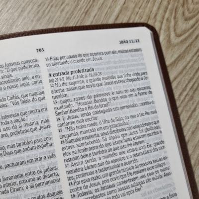 image_ab979e04-89d6-4891-b159-88305944ed40