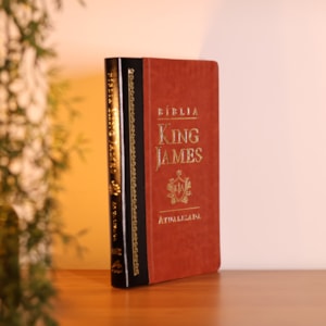 Segunda imagem do produto Bíblia King James Atualizada Slim | KJA | Letra Normal | Marrom e Preta