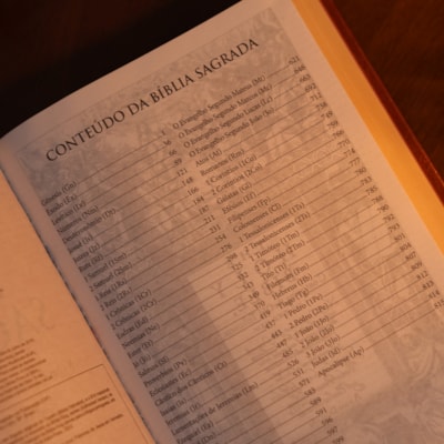 image_3a3b4c69-e8fa-4591-82f4-03e85fd0264b