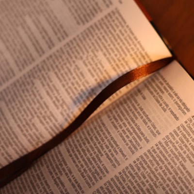 image_dcc4e381-6f18-4278-8110-8ffc6110a0fa