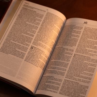 image_4960c217-2396-4d8a-962e-81591cfe991d