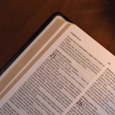 image_9dd0a332-076b-476a-830a-ee114e15ab97