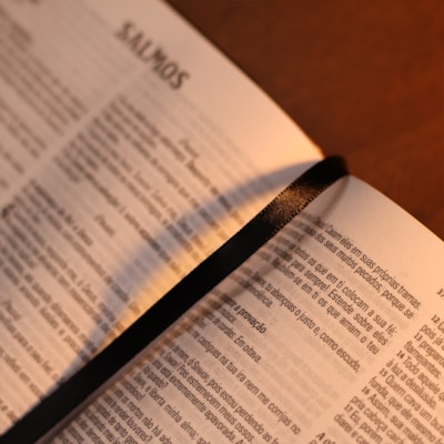 image_0cb664fd-d0d9-474e-80bc-b97ccf03c9db