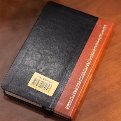 image_8c14234b-8711-4584-b548-544c390620be