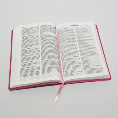 image_0a1e77db-fad9-4913-a4ff-15864c058ec9