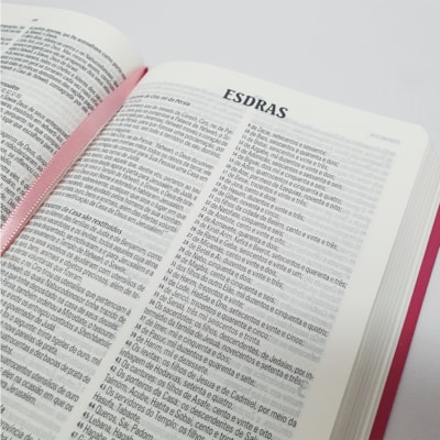 image_d5297cb6-c67d-4cbf-bc05-6bdea029302e