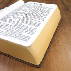 Bíblia King James de Estudo Atualizada | KJA | Letra Hipergigante | Capa Dura Vintage