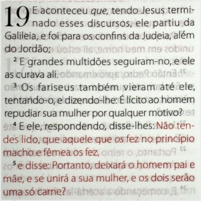 image_8ea28e37-a38e-40c6-a20d-ec4f2899b663