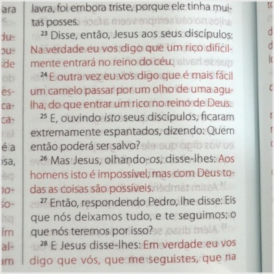 image_38d1eef8-c0f4-4855-b466-df0c6e22fbbc