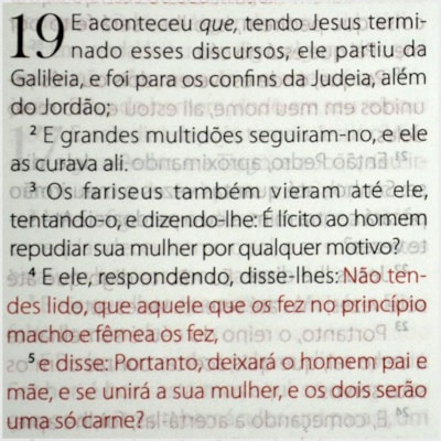 image_651bf2a5-cd63-4eb5-891b-9133a1e2b450