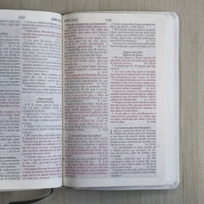 image_2d594d21-e10e-4fe0-9593-2c36fe81809a