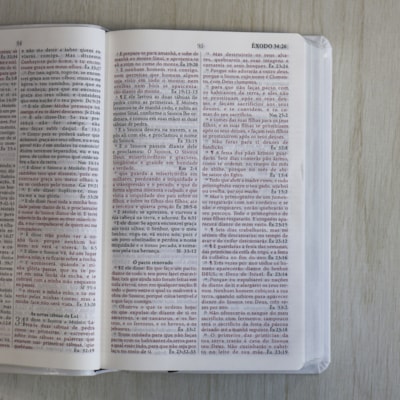 image_e21d14f4-9149-479e-8791-616f55006732