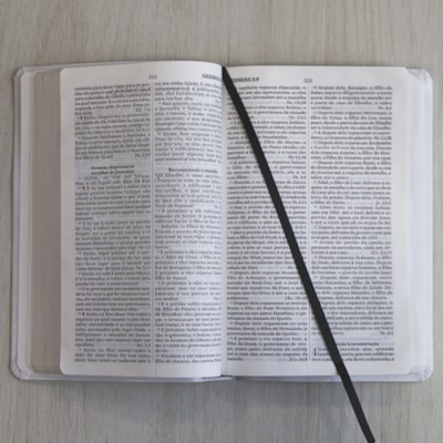 image_66debce1-3204-4db8-95e7-c413d1597e32