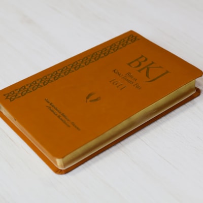 image_e63a8e78-a112-40b4-92c7-3a33a299fb0f