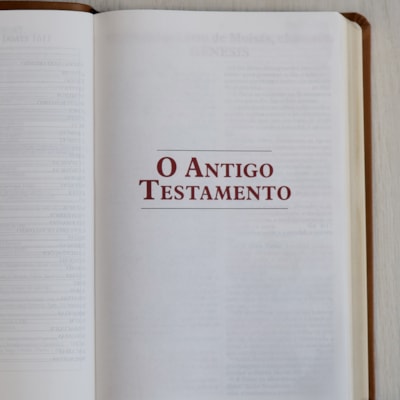 image_d0a07a18-1635-4519-8916-db388211646e