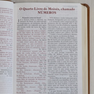 image_da403941-d54e-4478-b2a6-54d8abfb6210