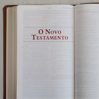 image_786baa40-db65-4eb8-adf5-b8bf4ee38de7