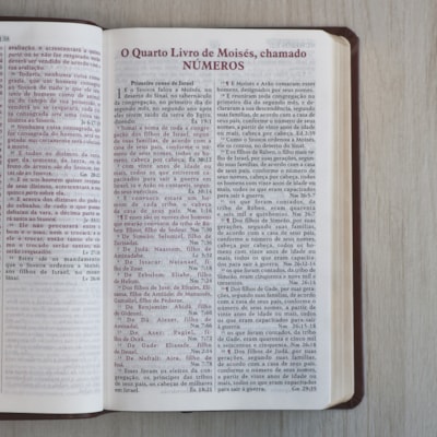 image_c2f75f70-69a7-49c3-b30f-c5d3ac43c930