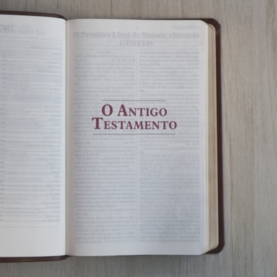 image_5f779698-0e95-4863-8c7d-71e12aed2f22