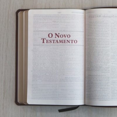 image_e634b329-fd3a-49a5-9884-24037302b49b