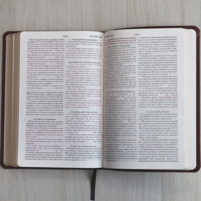 image_ffaad3df-8a78-4705-a769-037a69bd147f