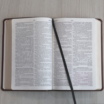 image_b1cb070f-5260-48fd-93e6-0d4ea0202418