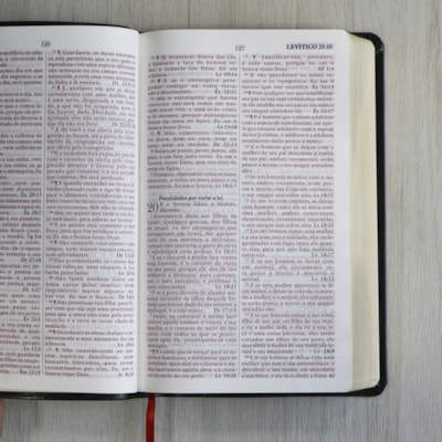 image_5f33fdf9-10f6-4c1b-9156-d4dc58a4a687