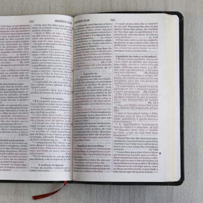 image_a947b0da-a112-45ea-b5d5-444a974a1e9f