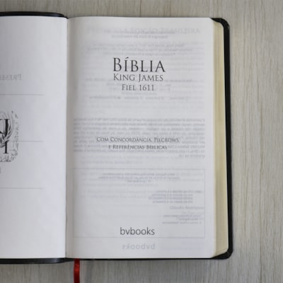 image_bf2268be-6537-4142-87f2-1a081a03419c