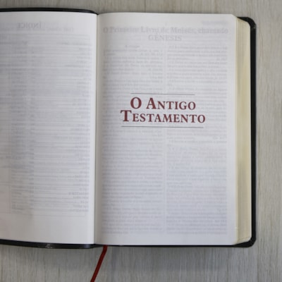 image_4f9cda5c-9fdd-434c-99f9-e4092e946b6e