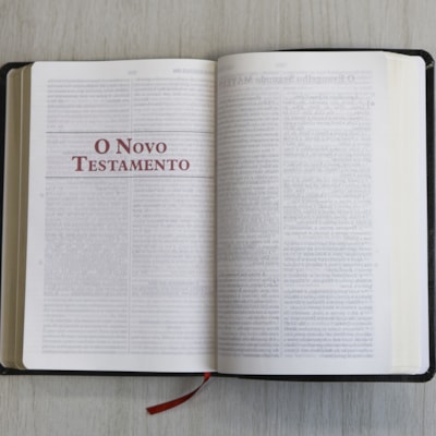 image_bfd6c7cc-f8b7-4a5a-bda5-0c7fd26b5ec6