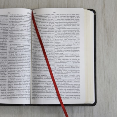 image_0fb2e07c-a834-4c67-96b8-2df1d37183a9