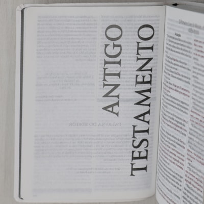 image_31a2fec0-5341-4a7d-aa3b-1ab40a57542c