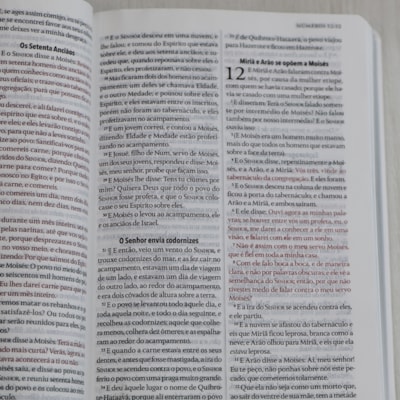 image_29ec091d-72ba-45e2-bd1d-f5dd4bc2c235