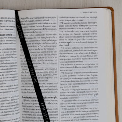 image_6f9bca65-ba15-4f5b-8844-77518bc82842