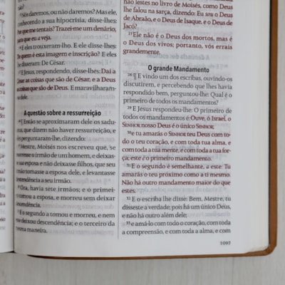 image_a2378f10-3295-4068-ab74-fa538483fdcf