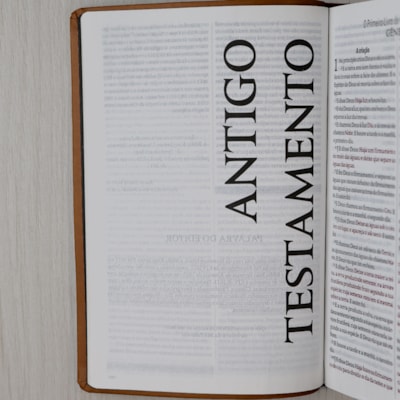 image_5a7b5890-75f5-44e8-a658-f7c27af97219