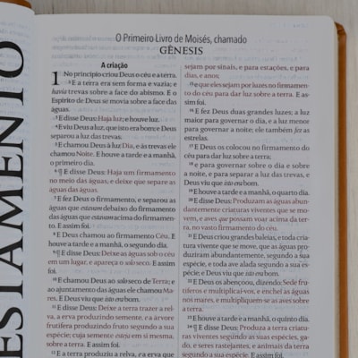 image_64755166-1fdf-4e4a-a09f-45f7867824b5