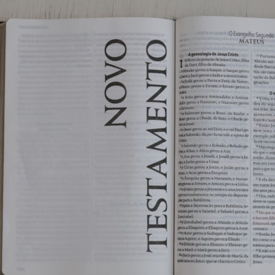 image_3122a94a-4e89-4ef9-8c56-941d17ce7f75