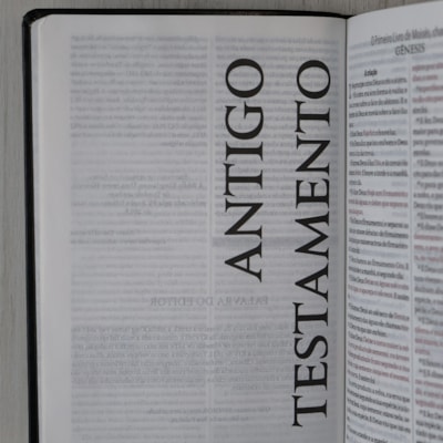 image_1952aaf7-12e2-436a-adeb-b38ced90a27c