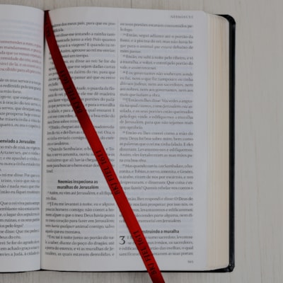 image_3a977442-6144-4e91-b277-3ac426eb05b3