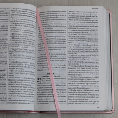 image_e947642d-577c-4c13-acdc-6d81b4811e17