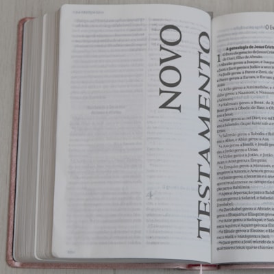 image_09cd8e50-350f-4608-9614-e4c4923ca25c