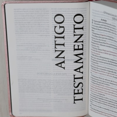 image_73512cda-5102-4542-993a-e908be11a518