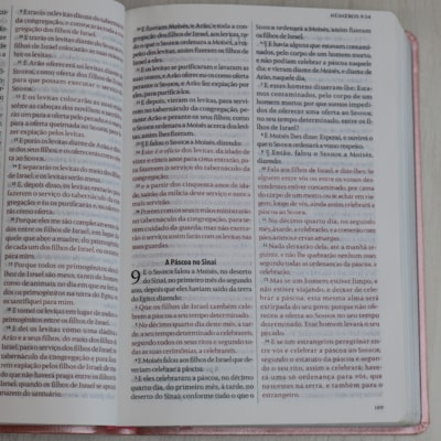 image_49b51837-e598-46b5-a53e-52830ce29c27