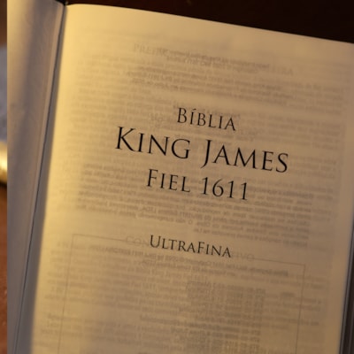 image_d8f4aa2d-cc51-4495-9ffa-e505469042bc