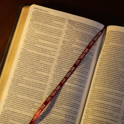 image_6e9d28a0-dc11-4edc-bc07-9fa69379ea73