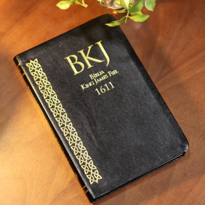 image_b852bca7-38a9-4067-bfa9-8fad5cff26a3