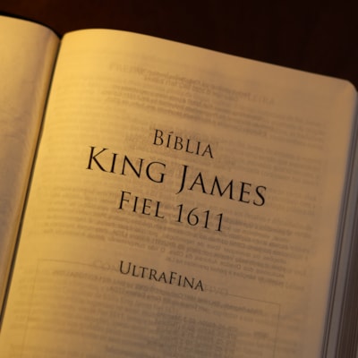 image_51361b9c-36cc-4561-8a3c-bcb85b4ca42f