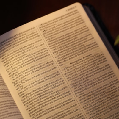 image_a52caa13-cf70-45f3-b5b2-96494b534921